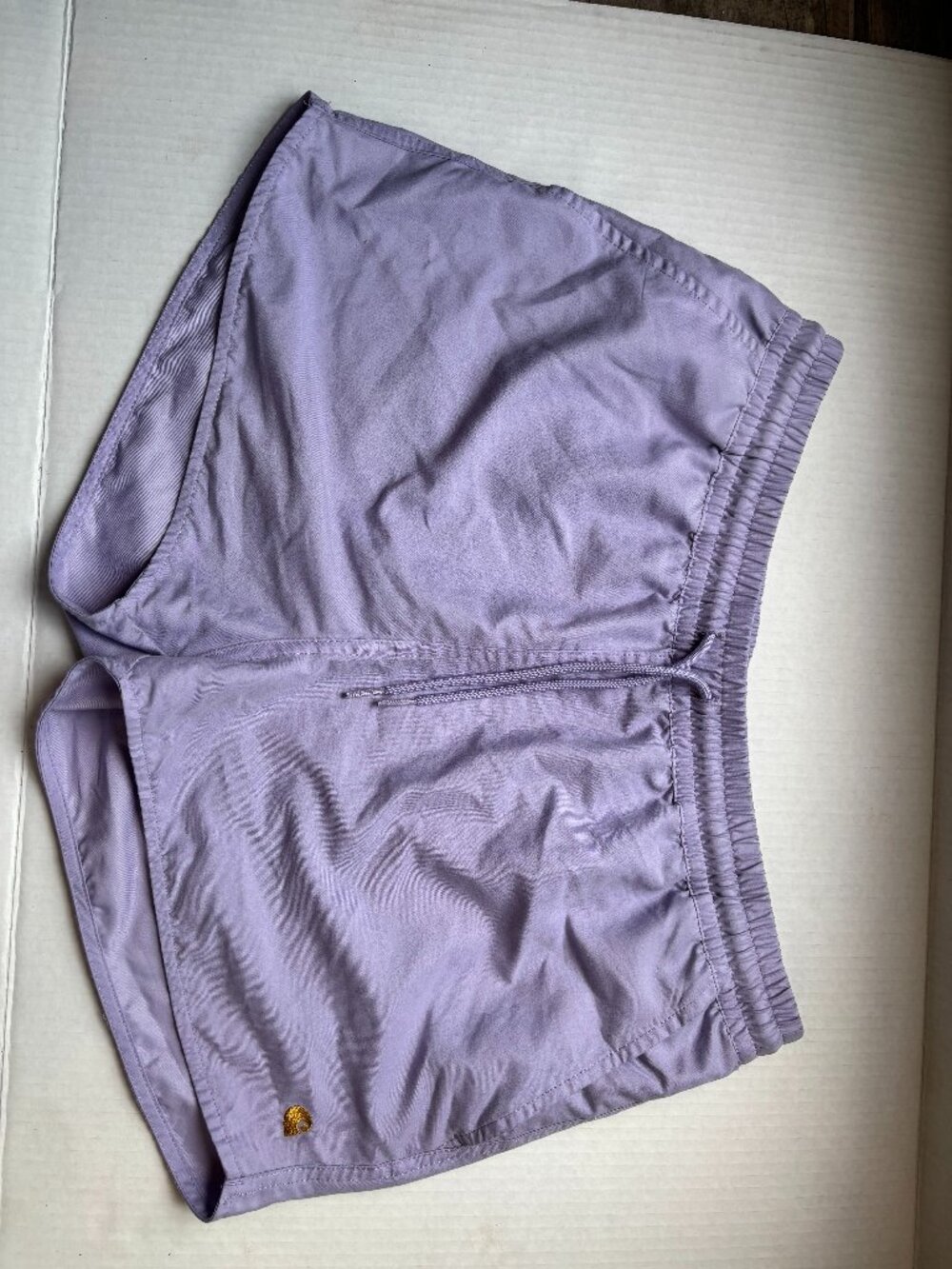 Womens Carhartt Work in Progress Violet Chase Swim Shorts